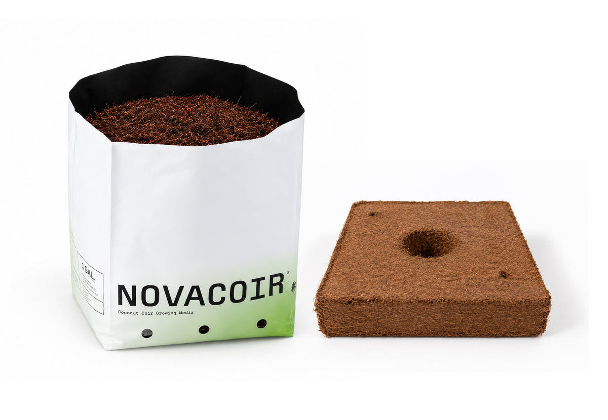 Top-down view of a NOVACOIR compressed block showing the center propagation hole and two drip-stake holes